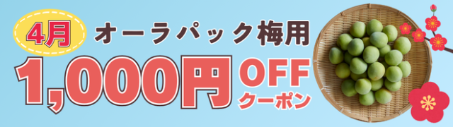 4月梅クーポン