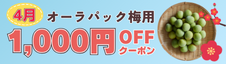 4月梅クーポン"