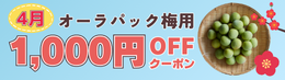 4月梅クーポン